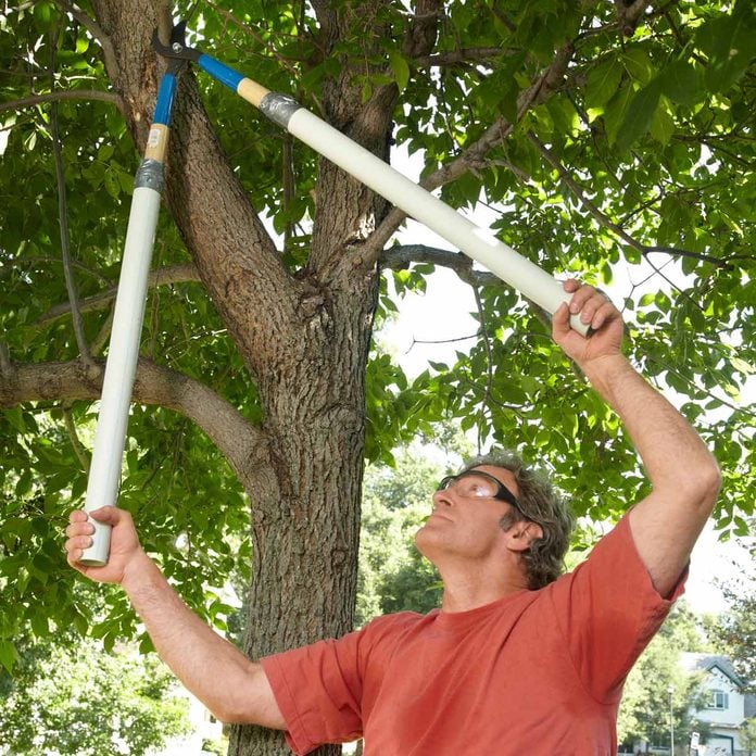 trim a tree with long shears tree pruning