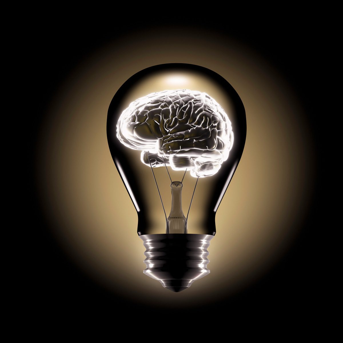 Light bulb brain