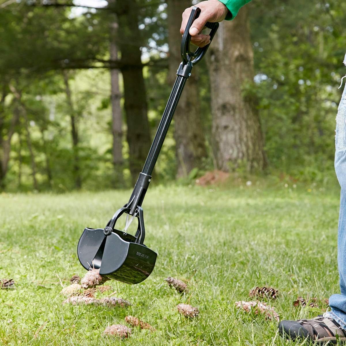 pinecone scooper