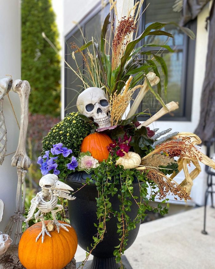 Halloween Container Garden Courtesy @taracottapots Via Instagram