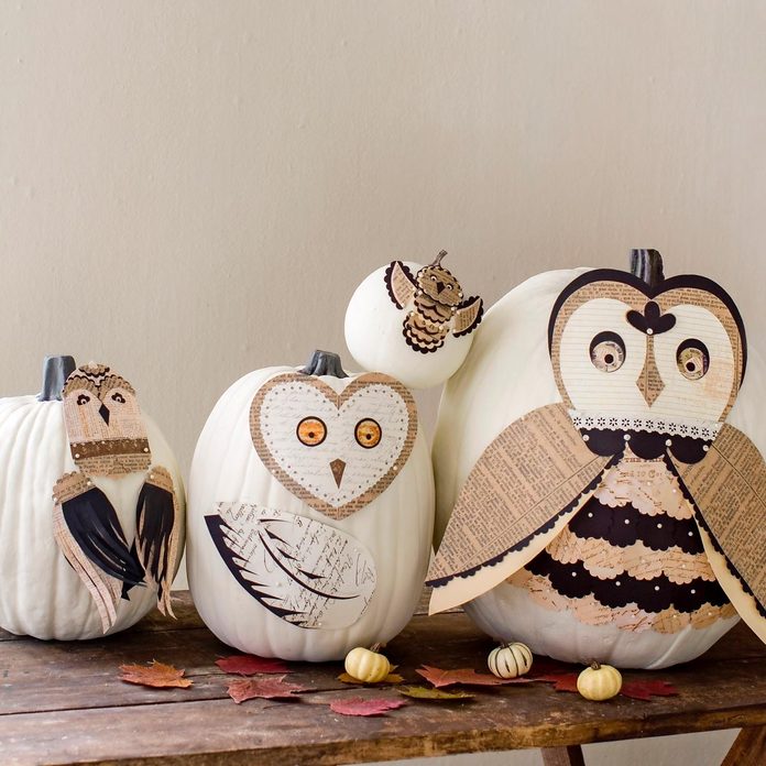 owl pumpkins with newspaper