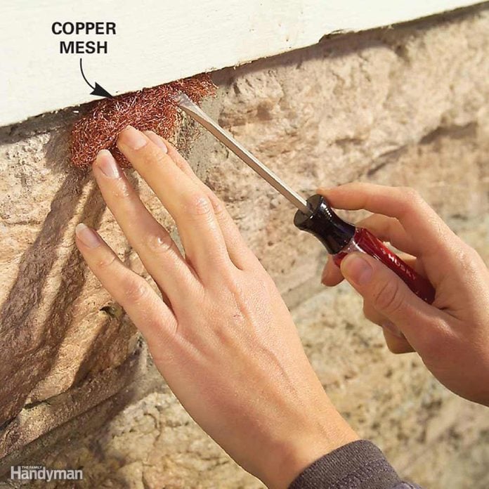 copper mesh for pest control