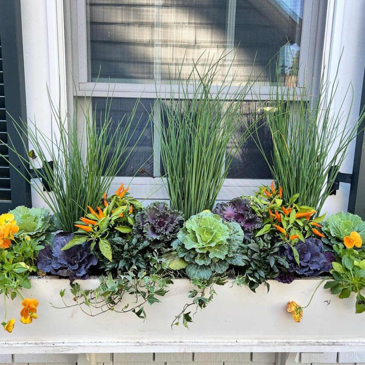 Pretty Fall Window Box and Container Ideas