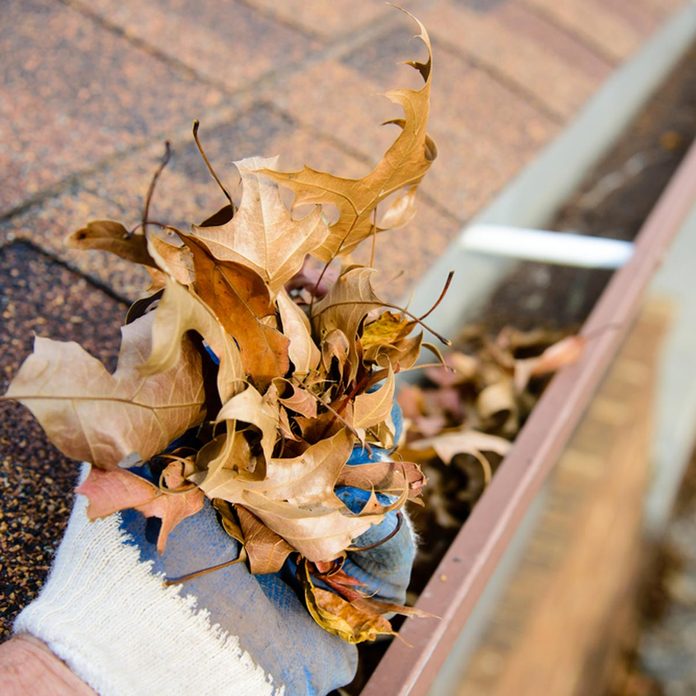 dfh17-sep020_337121540 fall ready clean the gutter from muck and leaves