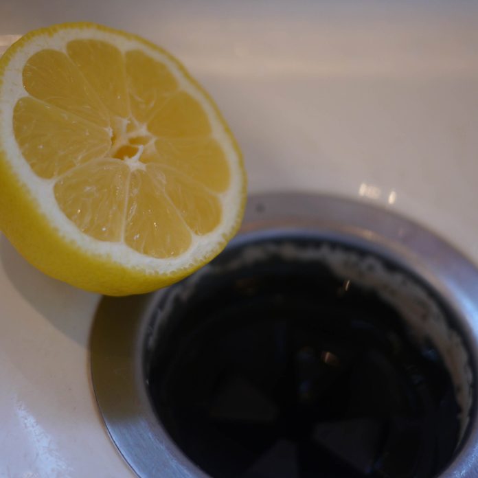 lemon garbage disposal