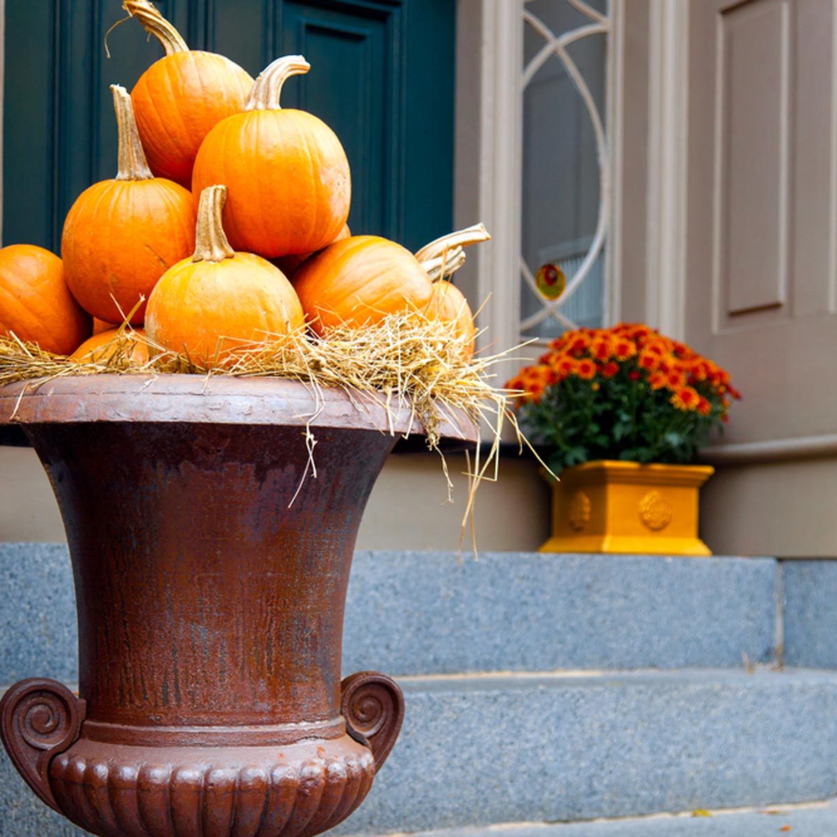 dfh17sep016_106467653 front porch urn planter fall pumpkins pot