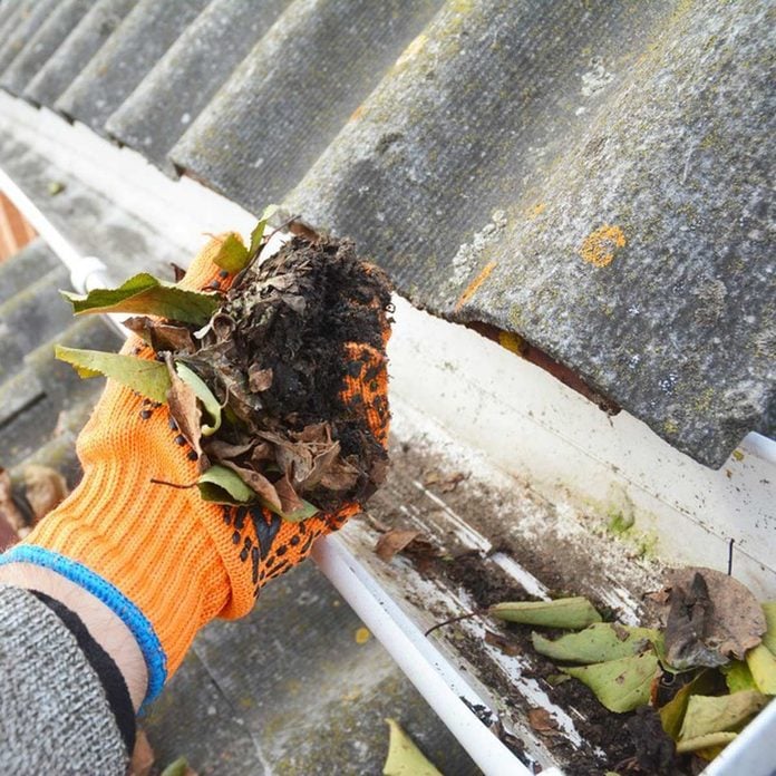 clean the gutters leaves chores dirty
