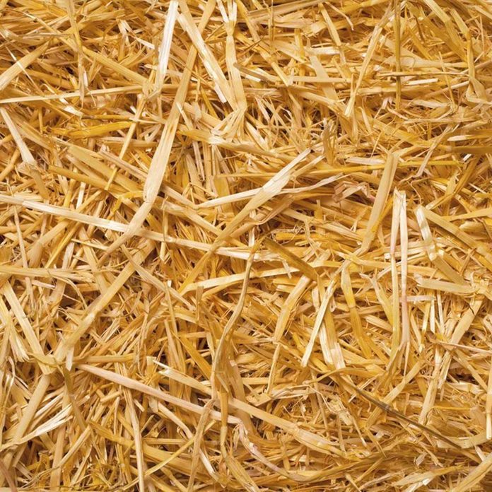 dfh17sep038_127725506_08-1200x1200 insulate straw hay