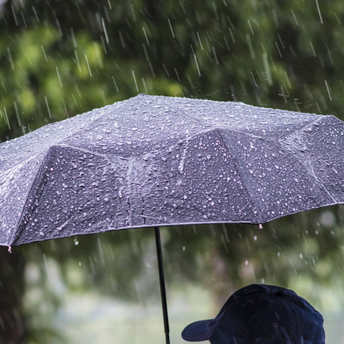 shutterstock_573187501 umbrella rain raining weather