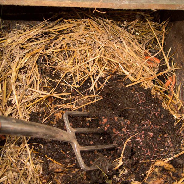 fh11_568408396 compost worms hay