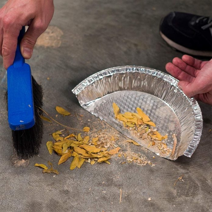 pie plate dust pan