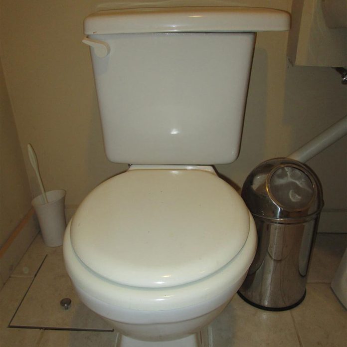 Jamie-Hyneman-Toilet-1
