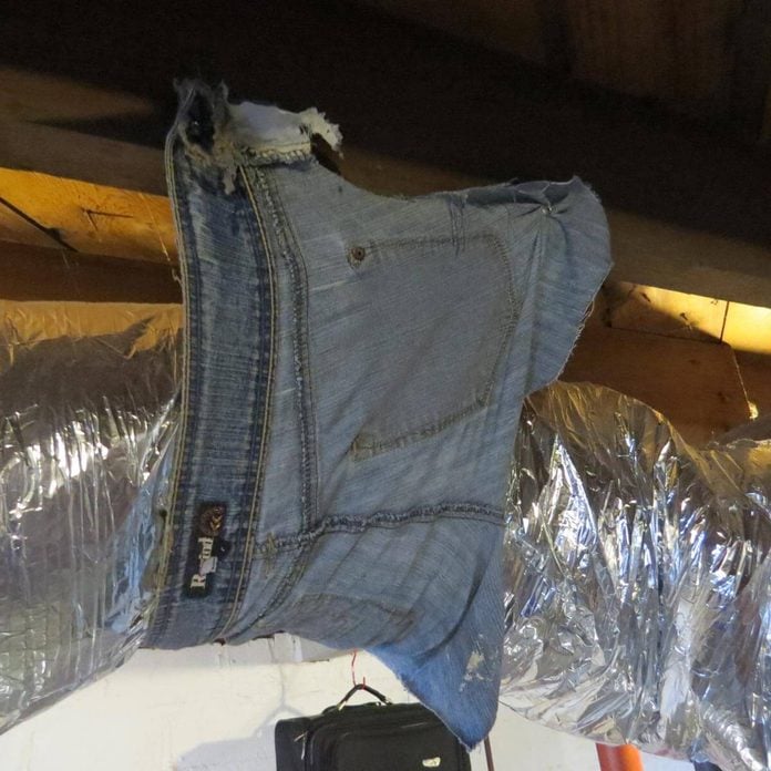Tom-Sherman jean pants around duct work
