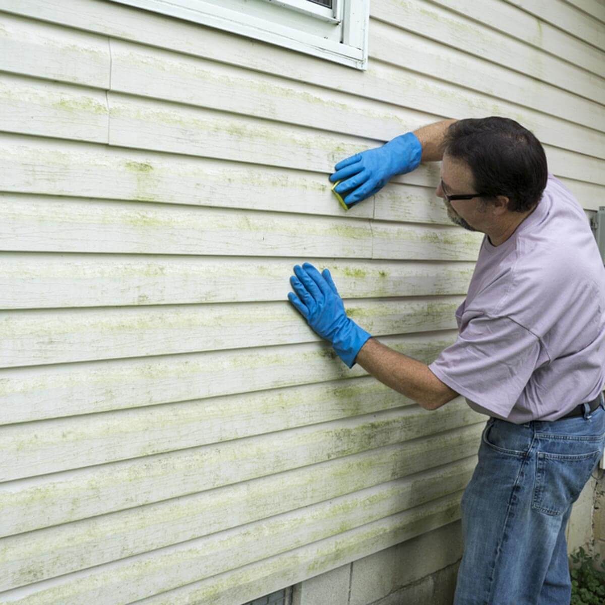 Remodeling Ideas: Siding Replacement