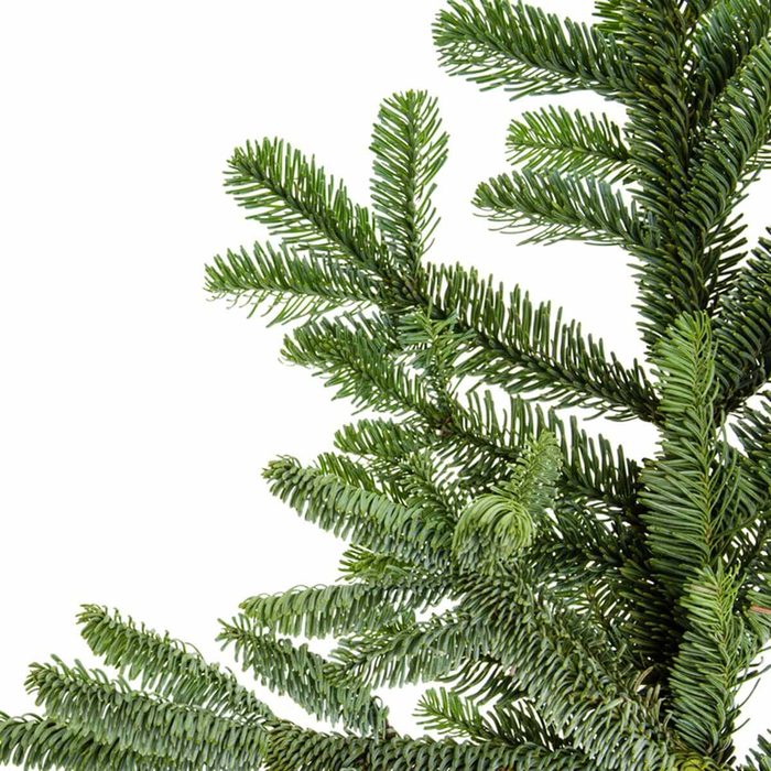 noble-fir-shutterstock_234642283 christmas tree
