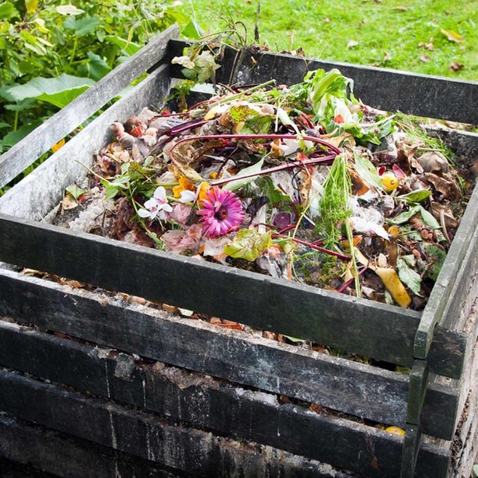shutterstock_156179246 compost pile