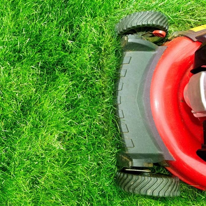 shutterstock_269014973 lawn mower cutting grass