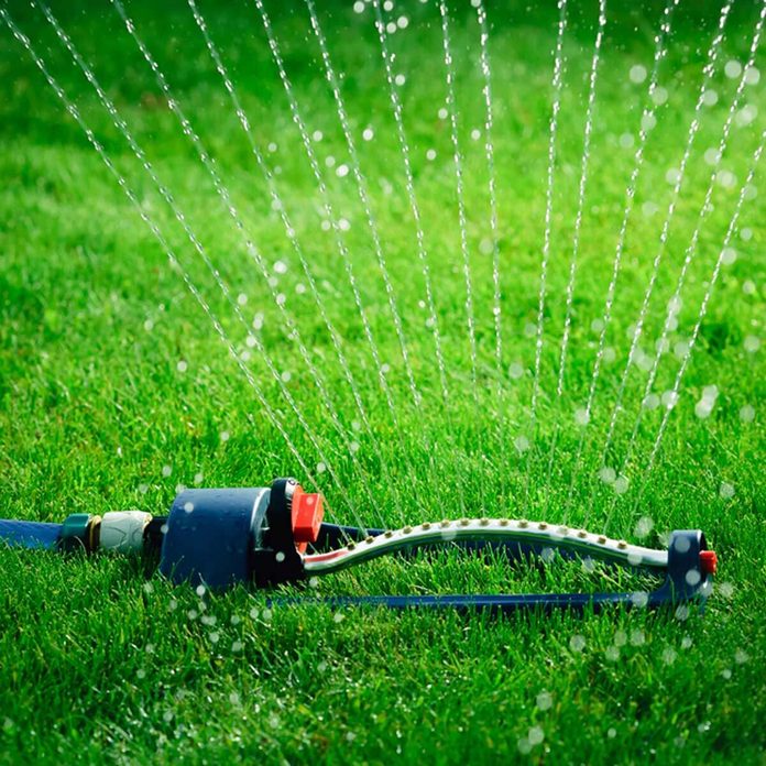shutterstock_560254180 sprinkler watering the lawn new year's resolutions
