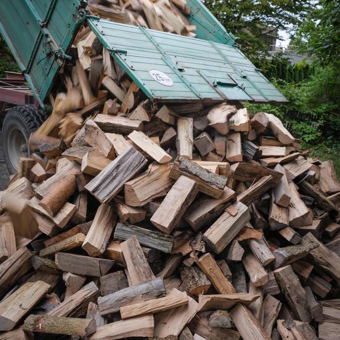 Don't burn wet firewood in yur fireplace