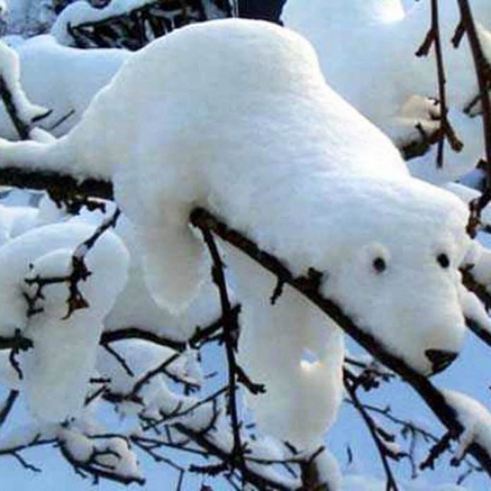 winter-decorating-backyard-ideas-snow-sculptures-11 polar bear