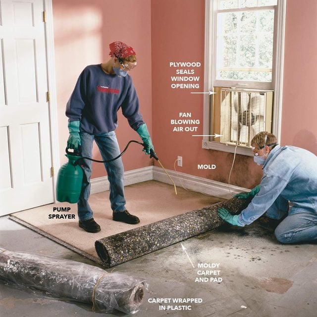 Remove moldy carpet diagram