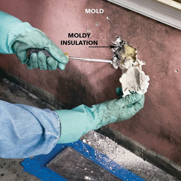 how to open up moldy walls
