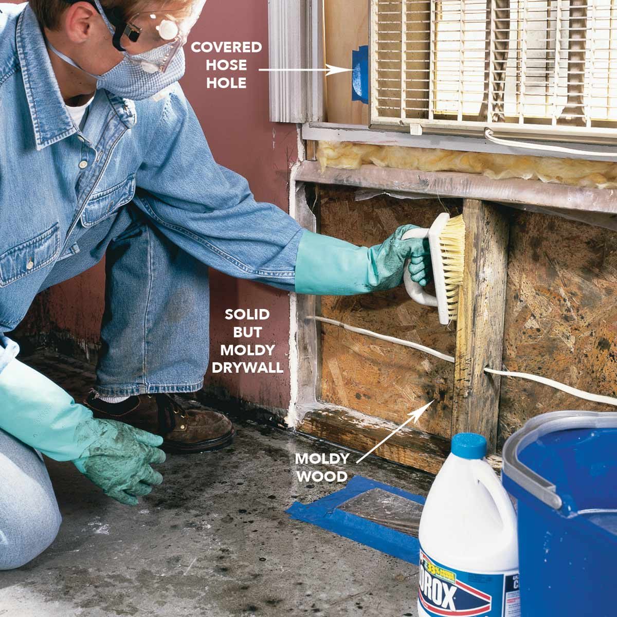 Scrub moldy surfaces with mold cleaner