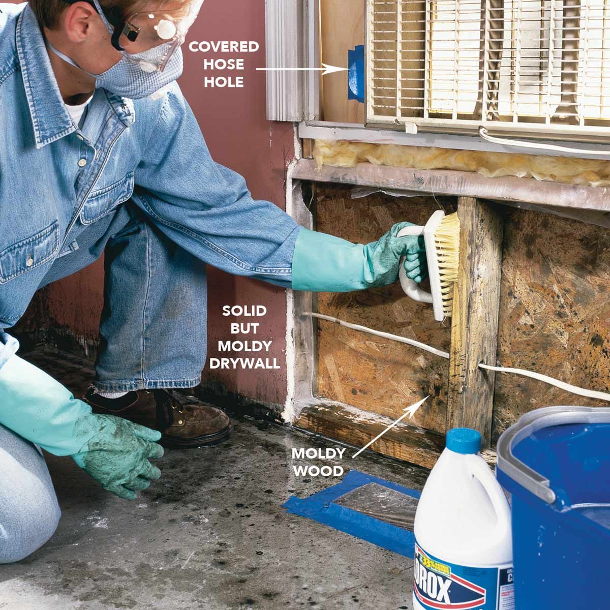 Mold and Mildew Cleaners  Mold Prevention Products