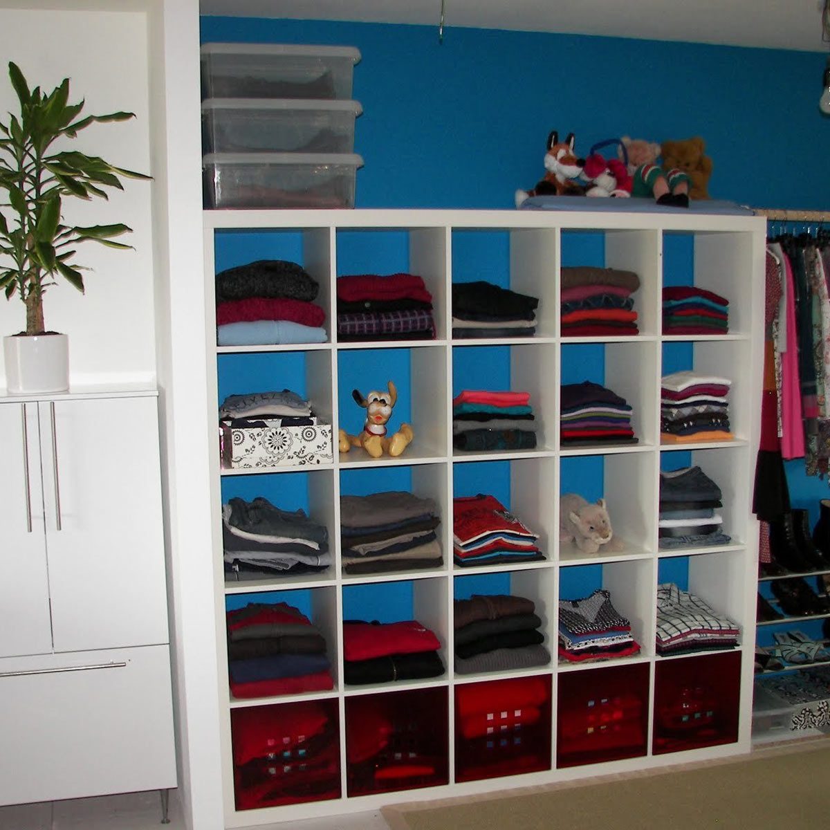 12 Awesome Closet Storage Hacks The Family Handyman