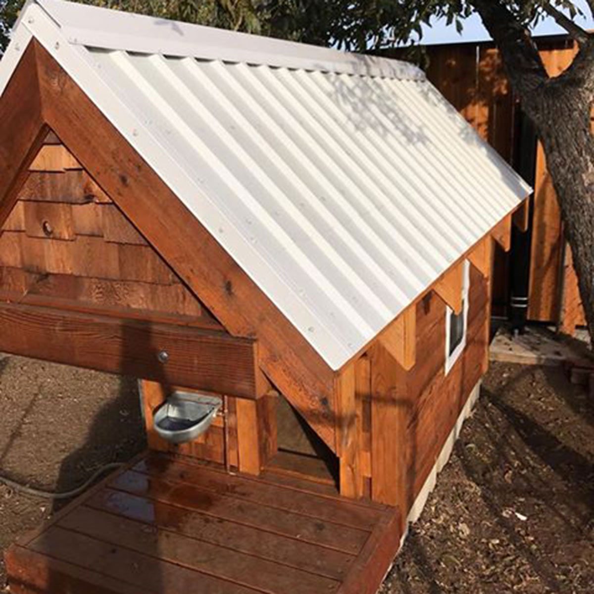 dog house exterior