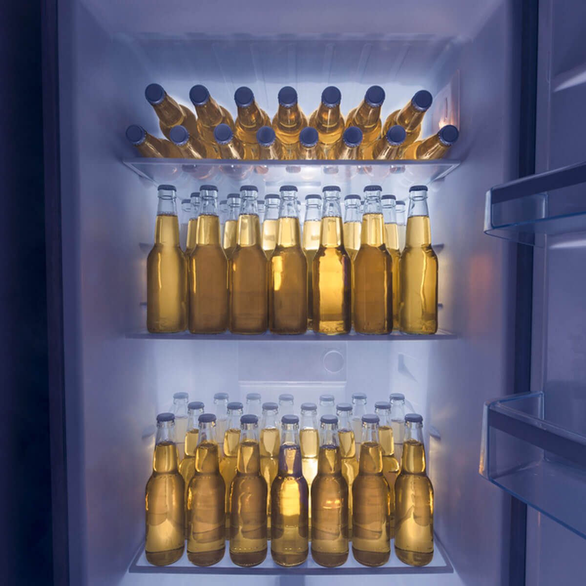 shutterstock_155196506-1 beer fridge