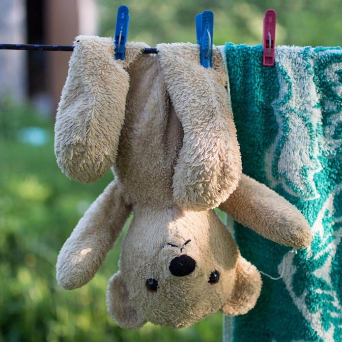 shutterstock_434304847 wash hang dry stuffed animal teddy bear