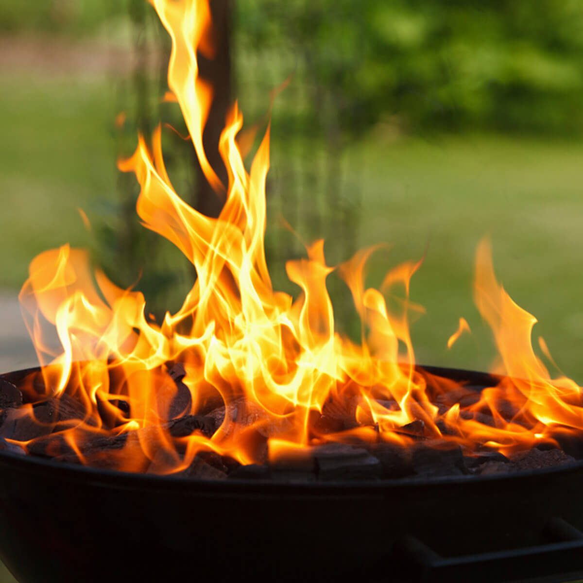 shutterstock_60003571 fire grill