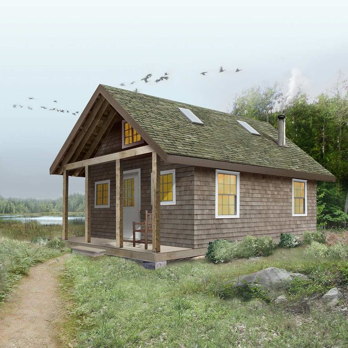tiny house cabin house skylights
