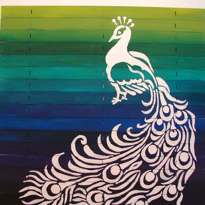 create art peacock