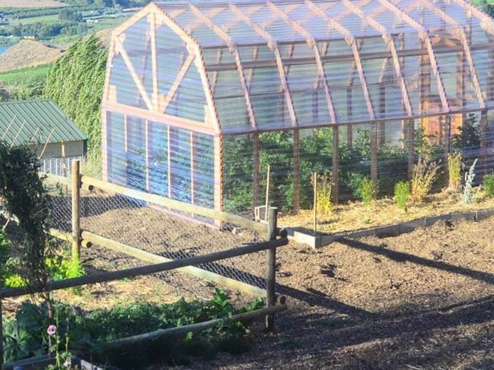 greenhouse-plastic-paneled-barn