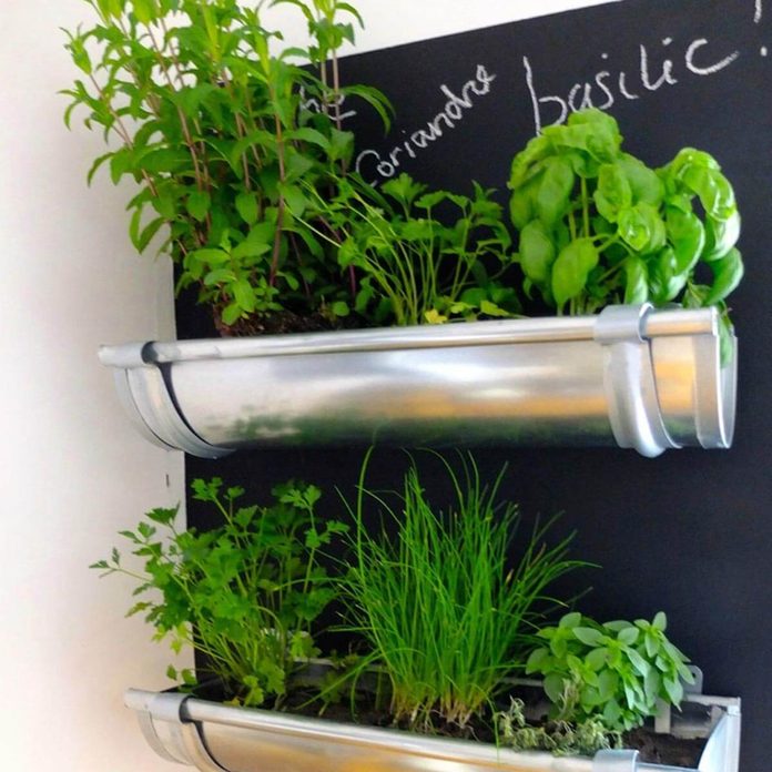 gutter-herb-garden