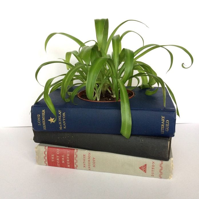 old books planters