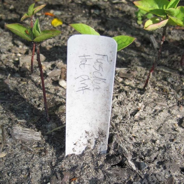 plant-marker-from-old-blinds