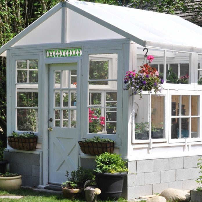 the-greenhouse-project-how-to-build-a-greenhouse-from-vintage-windows-11