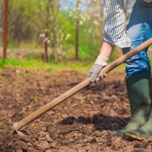 tending to vegetable garden how to prepare soil for garden