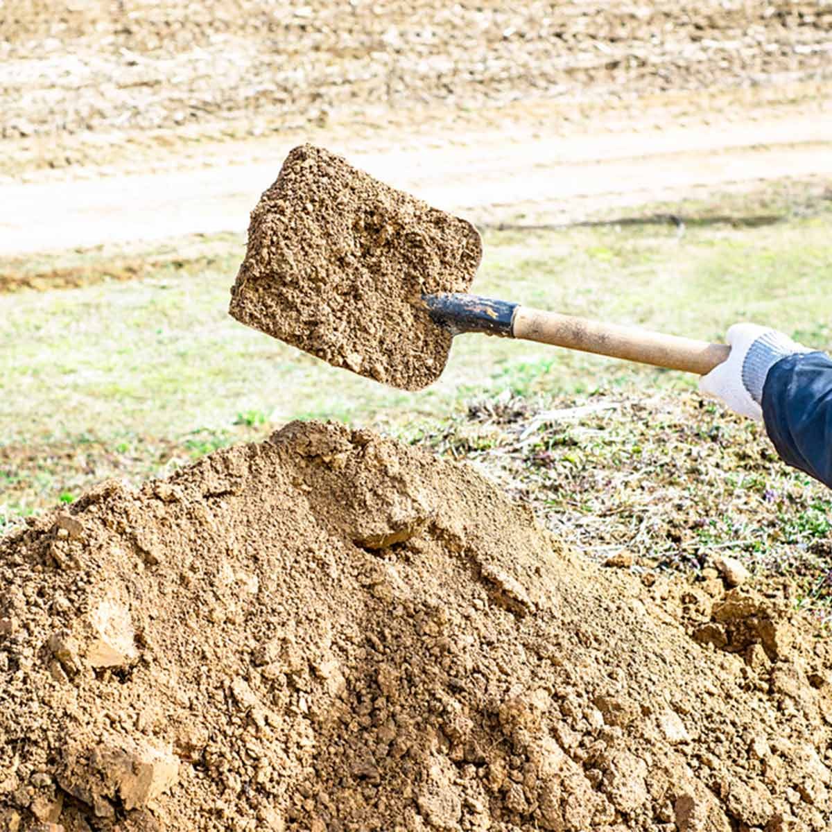 shovel with dirt