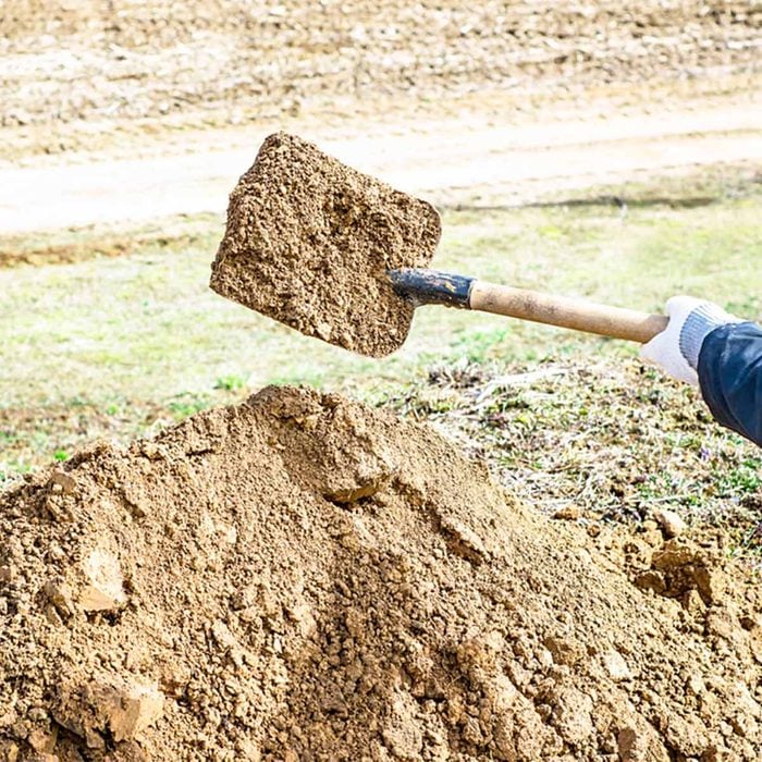 shovel with dirt