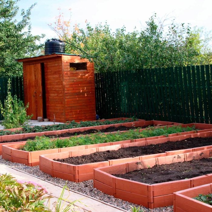 raised garden beds best soil for vegetable garden