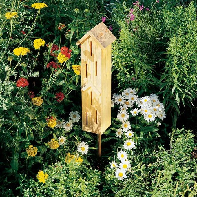 DIY Butterfly house plans