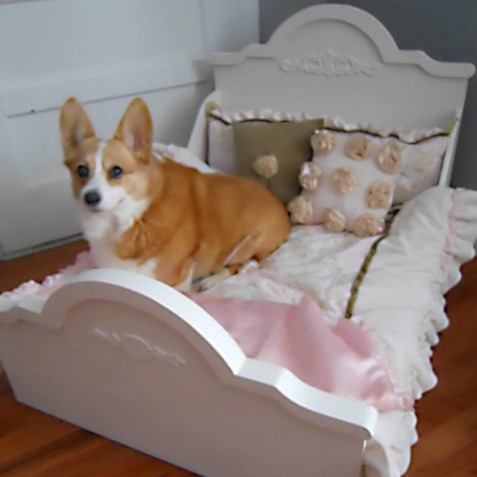 dog bed with headboard