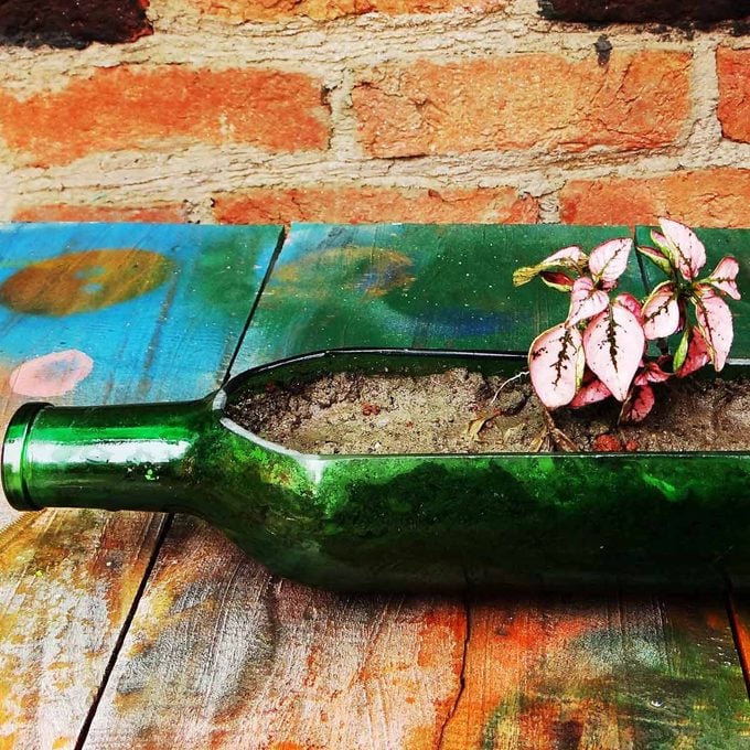 wine bottle planter