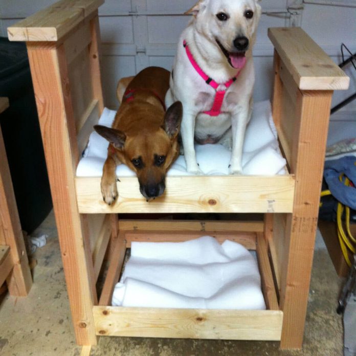 14 Adorable Diy Dog Beds The Family, Diy Dog Bunk Beds