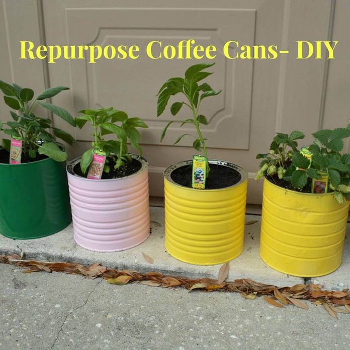 coffee cans planters