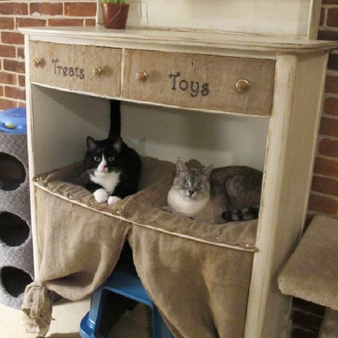 cat condo from destroyed dresser